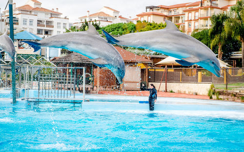 Man in swimming pool against buildings