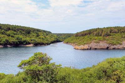 Scenic view of river amidst trees against sky