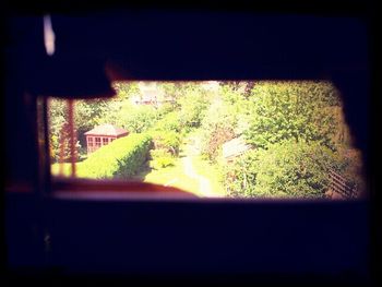 window