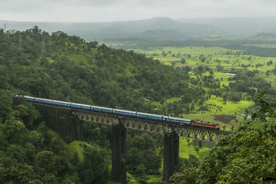 Bridge amidst trees in forest