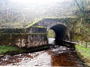 Arch bridge over river in forest