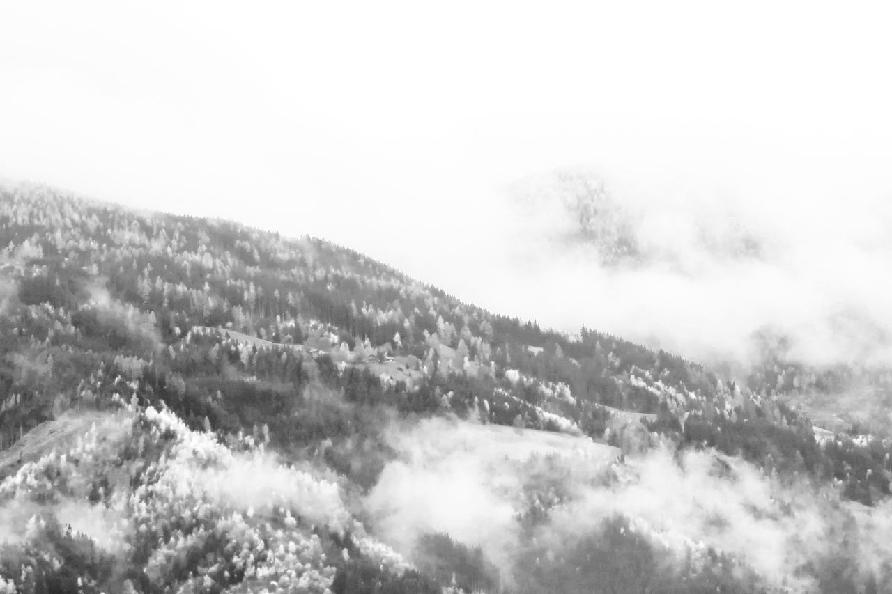 SCENIC VIEW OF TREE MOUNTAIN AGAINST SKY