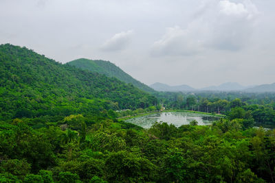 Scenic view of river in forest against sky