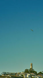 Low angle view of bird flying against clear blue sky