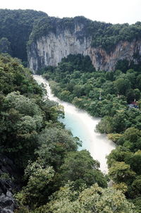 Scenic view of waterfall in forest