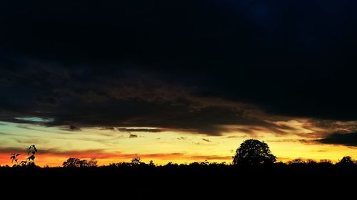 Silhouette trees on field against sky during sunset