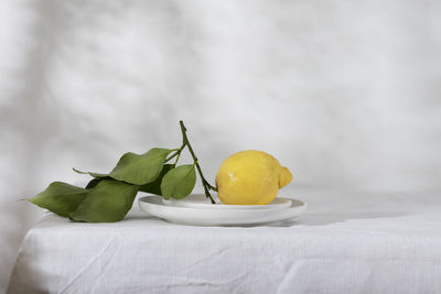 Close-up of oranges on table