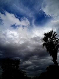 Low angle view of silhouette trees against sky