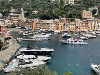 Colorful houses and yachts at portofino high angle