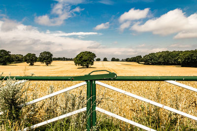 Metallic fence on field against sky on sunny day