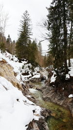 Scenic view of snow covered landscape