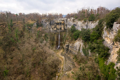Panoramic shot of trees in forest against sky