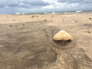 Surface level of pebble beach against sky