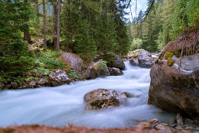 Stream flowing through rocks in forest