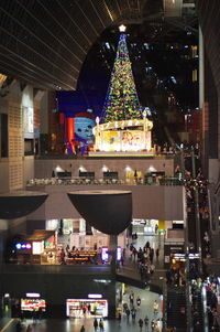 Illuminated christmas tree at night