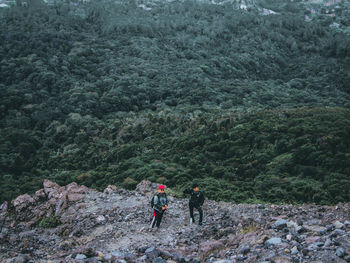 People walking on mountain against trees