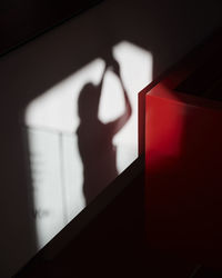 Shadow of people on wall