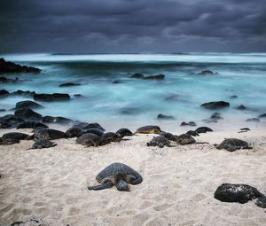 Scenic view of beach against sky