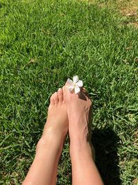 Low section of woman with white flower on grassy field