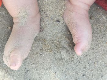 Low section of man standing on beach