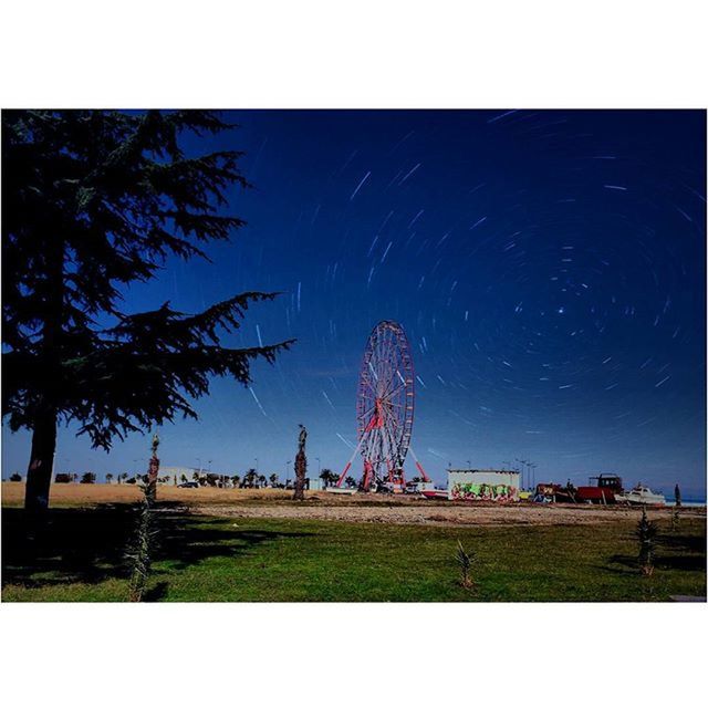 transfer print, clear sky, tree, night, building exterior, built structure, auto post production filter, architecture, sky, blue, copy space, grass, field, nature, outdoors, tranquility, tranquil scene, low angle view, landscape, scenics