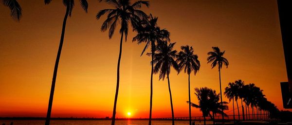 Silhouette palm trees on beach against romantic sky at sunset