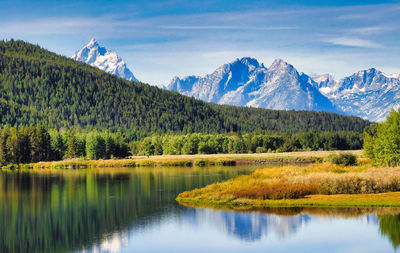scenics - nature