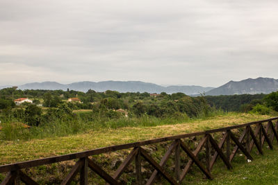 Scenic view of grassy field against sky