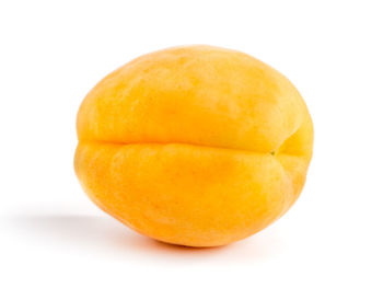 Close-up of orange against white background