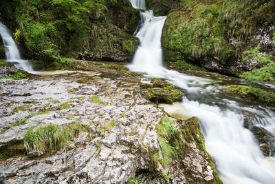 View of waterfall in forest