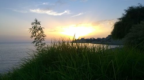 Scenic view of sea against sky during sunset