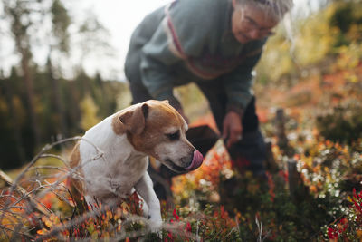 Man with dog on field