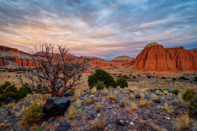 Rock formations at sunset