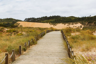 Footpath amidst plants on field against sky and dune