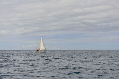 Sailboat sailing on sea against sky