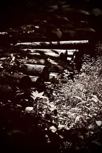 darkness