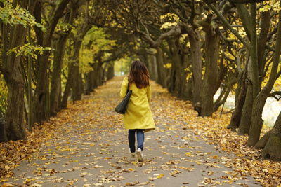 Rear view of woman walking on footpath during autumn