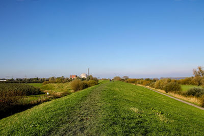 Scenic view of field against clear sky