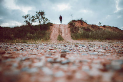 Rear view of man standing on land against sky