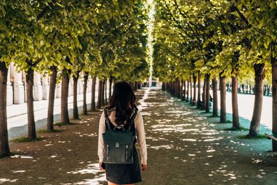 Rear view of woman standing on footpath amidst trees