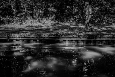 Reflection of trees in water