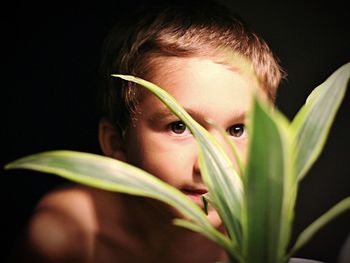 Portrait of boy by plant in dark