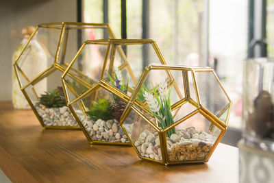 Close-up of potted plant on table