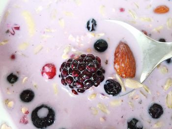 Close-up of served food