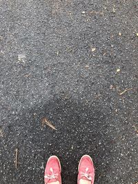 Low section of person standing on road