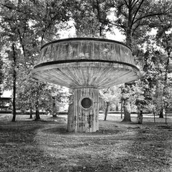 Trees in park