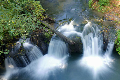 Scenic view of waterfall in forest