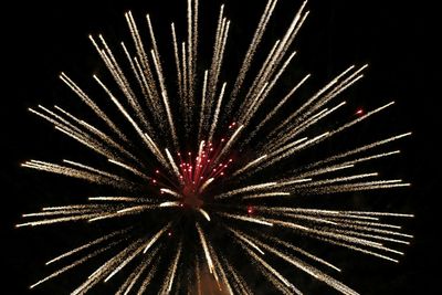 Low angle view of firework display at night