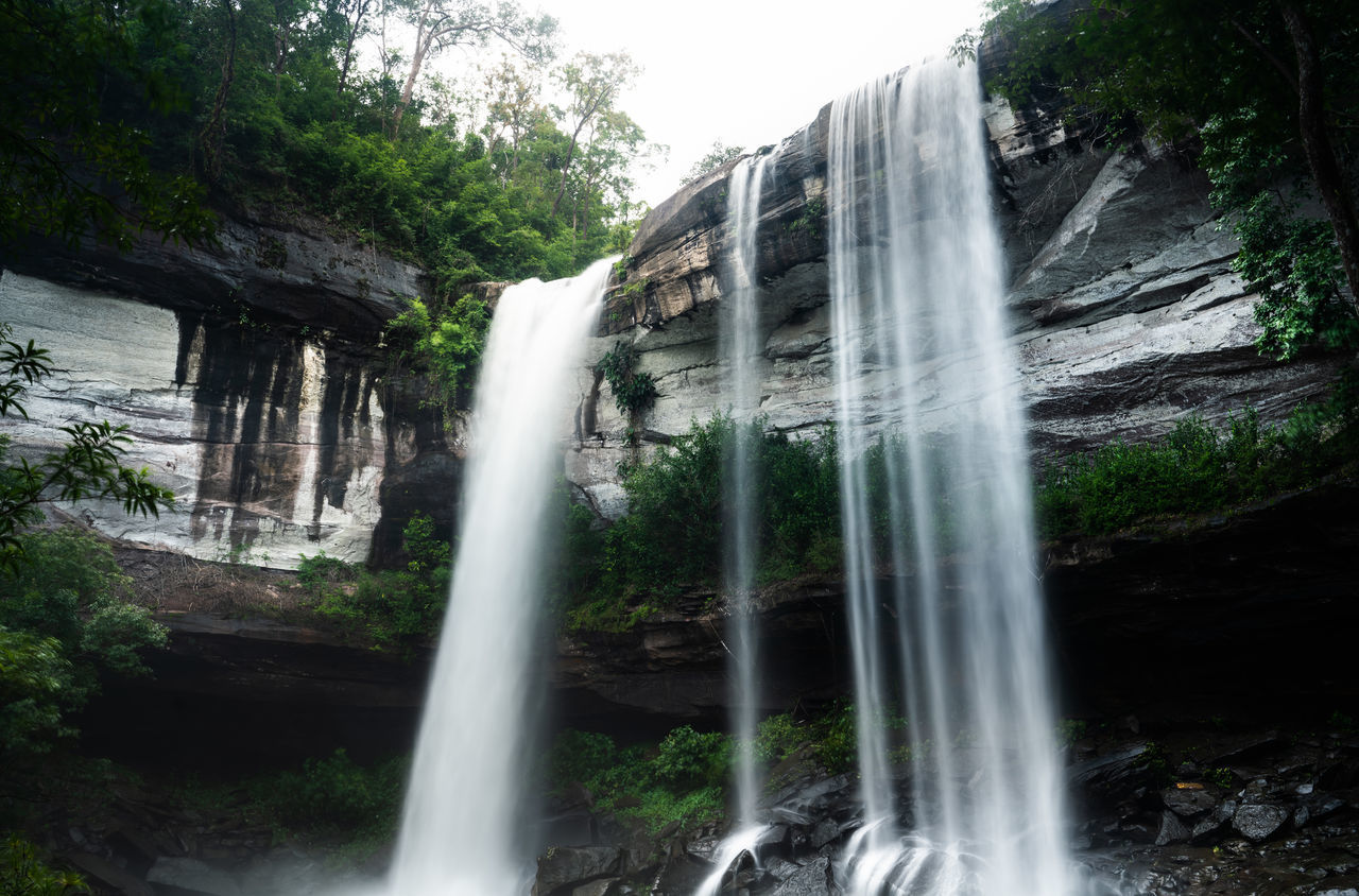 VIEW OF WATERFALL IN FOREST