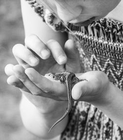 Close-up of child holding lizard